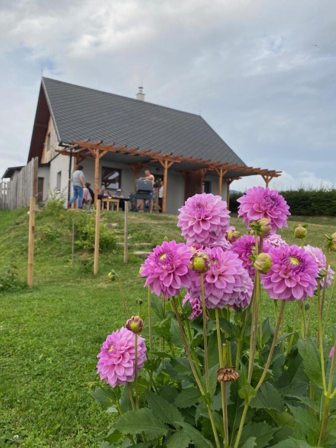 Apartmany U Mateje Долни-Морава Экстерьер фото