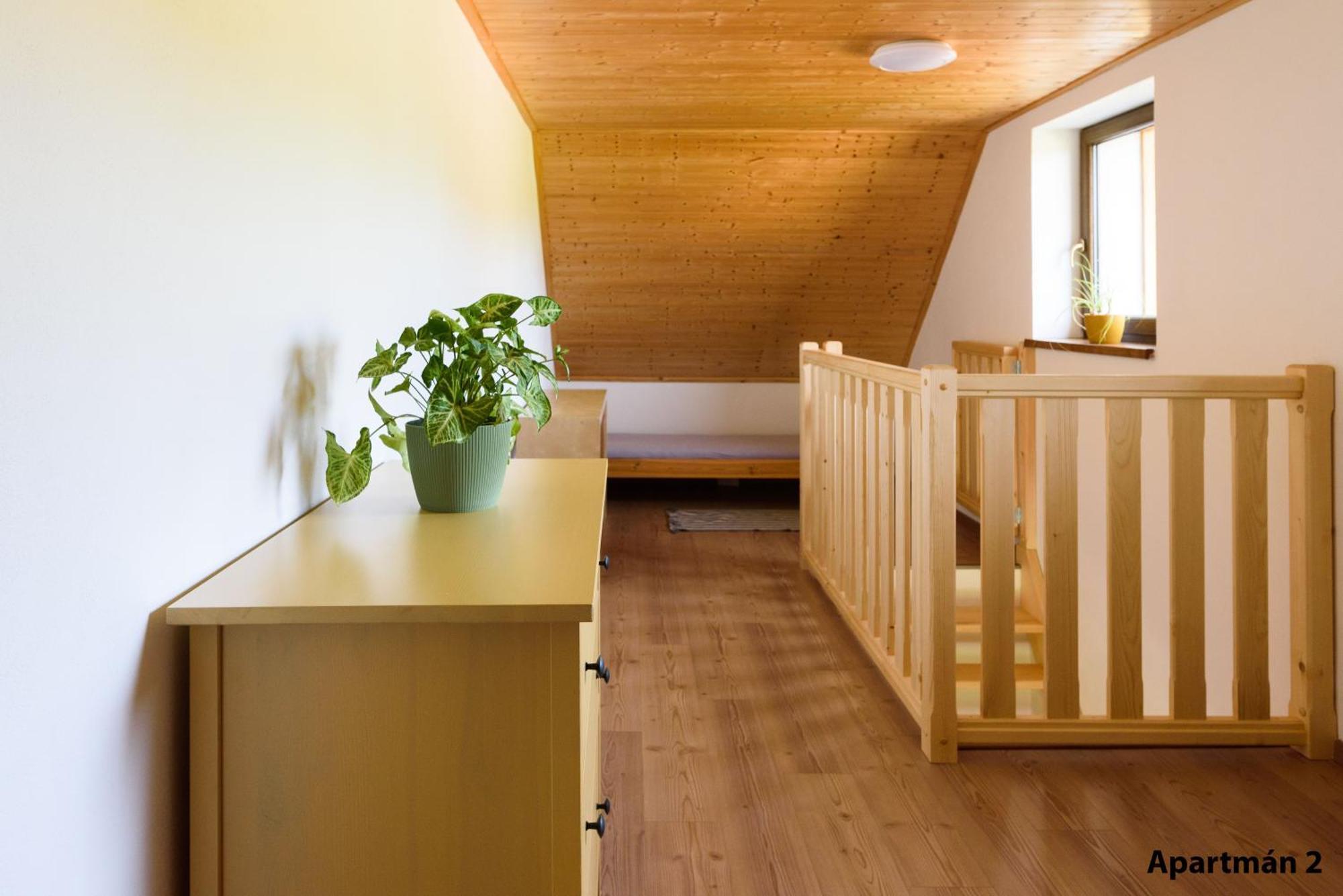 Apartmany U Mateje Долни-Морава Экстерьер фото